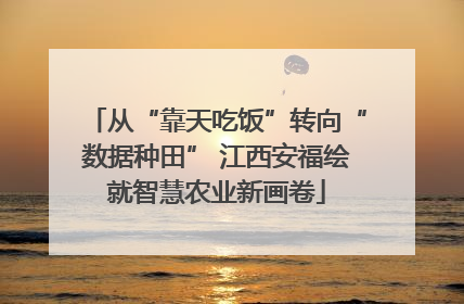 从“靠天吃饭”转向“数据种田” 江西安福绘就智慧农业新画卷