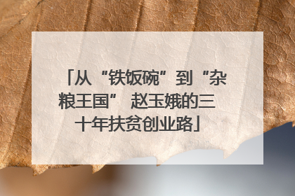 从“铁饭碗”到“杂粮王国” 赵玉娥的三十年扶贫创业路