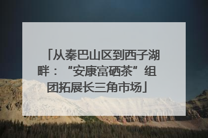 从秦巴山区到西子湖畔：“安康富硒茶”组团拓展长三角市场