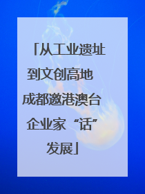从工业遗址到文创高地 成都邀港澳台企业家“话”发展