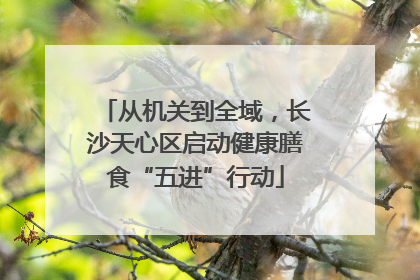 从机关到全域，长沙天心区启动健康膳食“五进”行动