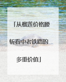从榴莲价格腰斩看中老铁路的多重价值