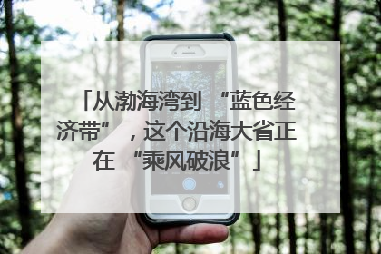 从渤海湾到 “蓝色经济带”，这个沿海大省正在 “乘风破浪”