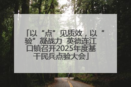 以“点”见质效，以“验”凝战力  英德连江口镇召开2025年度基干民兵点验大会