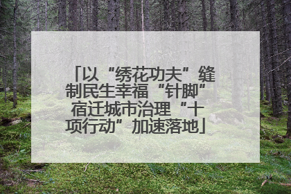 以“绣花功夫”缝制民生幸福“针脚” 宿迁城市治理“十项行动”加速落地