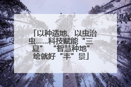以种适地、以虫治虫……科技赋能“三夏” “智慧种地”绘就好“丰”景