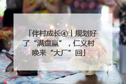 伴村成长④丨规划好了“满盘赢”，仁义村唤来“大厂”回
