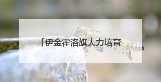 伊金霍洛旗大力培育电商直播复合型人才