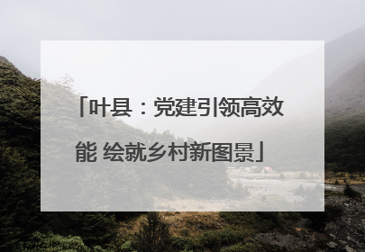 叶县：党建引领高效能 绘就乡村新图景