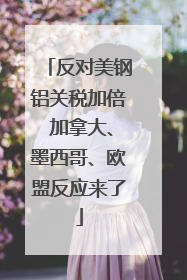 反对美钢铝关税加倍 加拿大、墨西哥、欧盟反应来了
