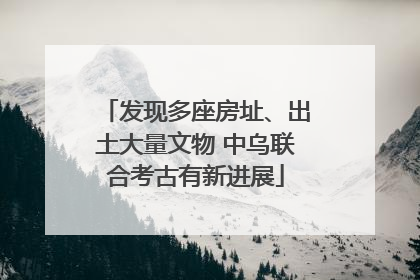 发现多座房址、出土大量文物 中乌联合考古有新进展