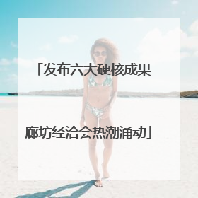 发布六大硬核成果 廊坊经洽会热潮涌动