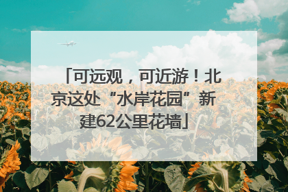 可远观，可近游！北京这处“水岸花园”新建62公里花墙