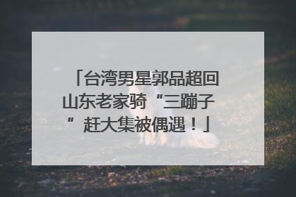 台湾男星郭品超回山东老家骑“三蹦子”赶大集被偶遇！