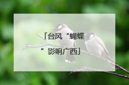 台风“蝴蝶”影响广西
