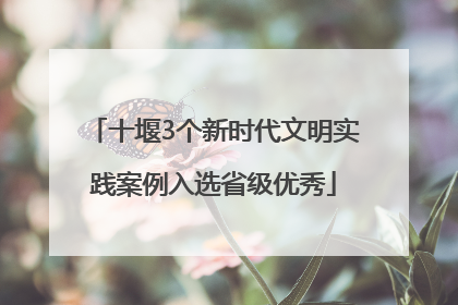 十堰3个新时代文明实践案例入选省级优秀