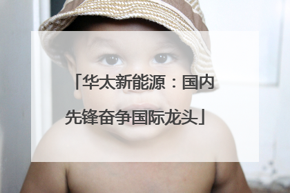 华太新能源：国内先锋奋争国际龙头