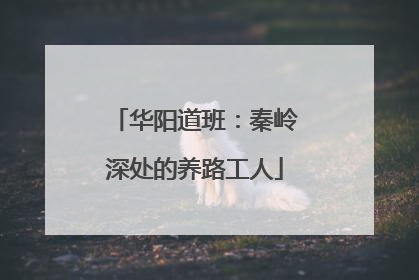 华阳道班：秦岭深处的养路工人