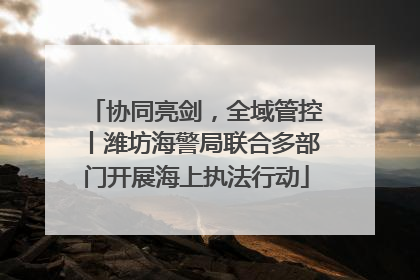 协同亮剑,全域管控丨潍坊海警局联合多部门开展海上执法行动