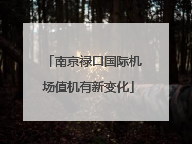南京禄口国际机场值机有新变化