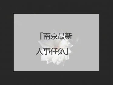 南京最新人事任免