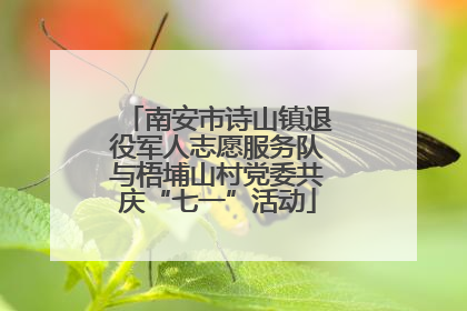 南安市诗山镇退役军人志愿服务队与梧埔山村党委共庆“七一”活动