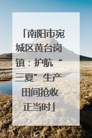 南阳市宛城区黄台岗镇：护航“三夏”生产 田间抢收正当时