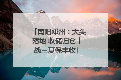 南阳邓州：大头落地 收储归仓丨战三夏保丰收