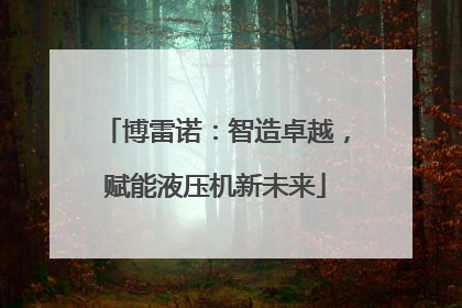 博雷诺：智造卓越，赋能液压机新未来