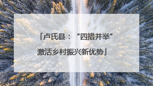 卢氏县：“四措并举”激活乡村振兴新优势