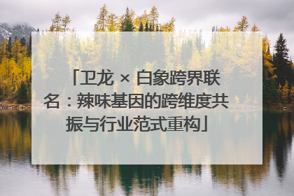 卫龙 × 白象跨界联名：辣味基因的跨维度共振与行业范式重构