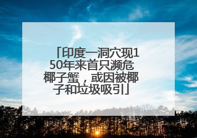 印度一洞穴现150年来首只濒危椰子蟹，或因被椰子和垃圾吸引