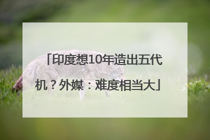 印度想10年造出五代机？外媒：难度相当大