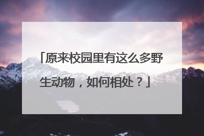 原来校园里有这么多野生动物，如何相处？