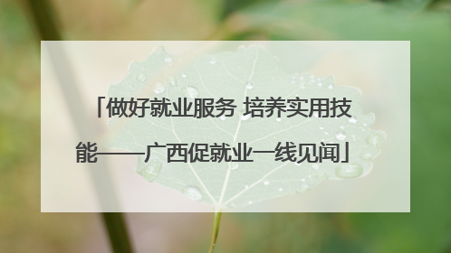 做好就业服务 培养实用技能——广西促就业一线见闻