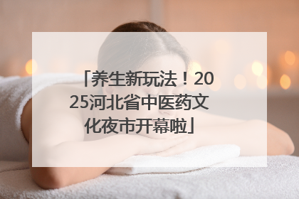 养生新玩法！2025河北省中医药文化夜市开幕啦