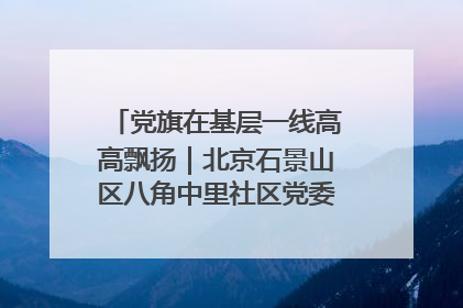 党旗在基层一线高高飘扬｜北京石景山区八角中里社区党委：用脚步丈量民生