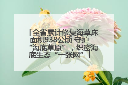 全省累计修复海草床面积938公顷 守护“海底草原”，织密海底生态“一张网”