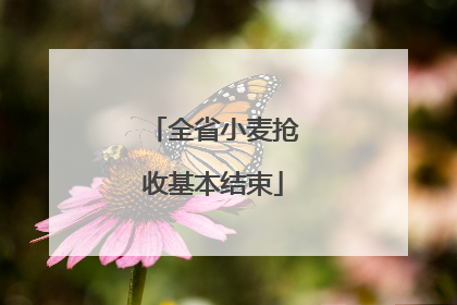 全省小麦抢收基本结束