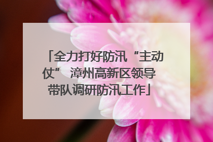 全力打好防汛“主动仗” 漳州高新区领导带队调研防汛工作