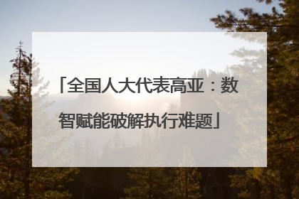 全国人大代表高亚：数智赋能破解执行难题