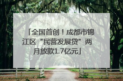全国首创！成都市锦江区“民营发展贷”两月放款1.7亿元