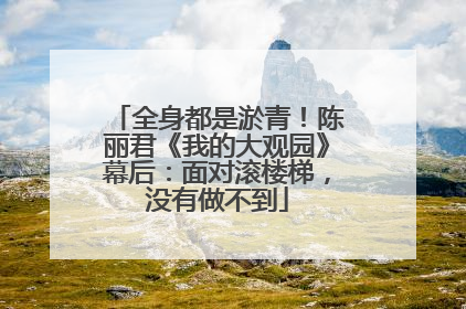 全身都是淤青！陈丽君《我的大观园》幕后：面对滚楼梯，没有做不到