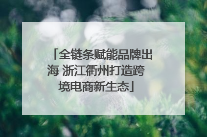 全链条赋能品牌出海 浙江衢州打造跨境电商新生态