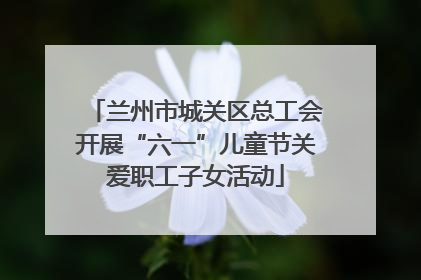 兰州市城关区总工会开展“六一”儿童节关爱职工子女活动