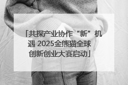 共探产业协作“新”机遇 2025金熊猫全球创新创业大赛启动
