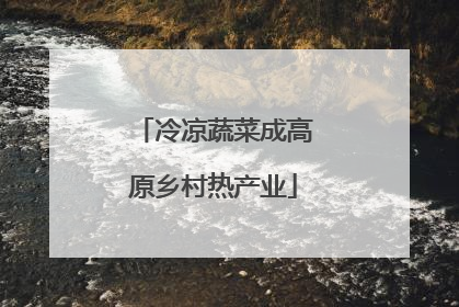 冷凉蔬菜成高原乡村热产业