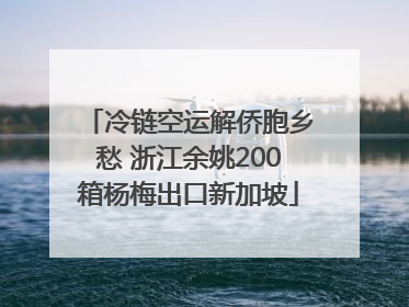 冷链空运解侨胞乡愁 浙江余姚200箱杨梅出口新加坡