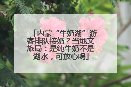 内蒙“牛奶湖”游客排队接奶？当地文旅局：是纯牛奶不是湖水，可放心喝