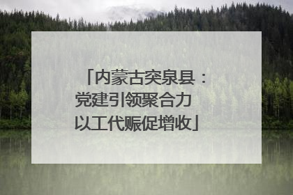 内蒙古突泉县：党建引领聚合力 以工代赈促增收